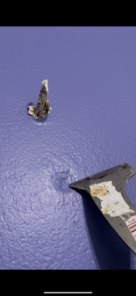 Image of 5 in 1 paint scraper and a bad patch