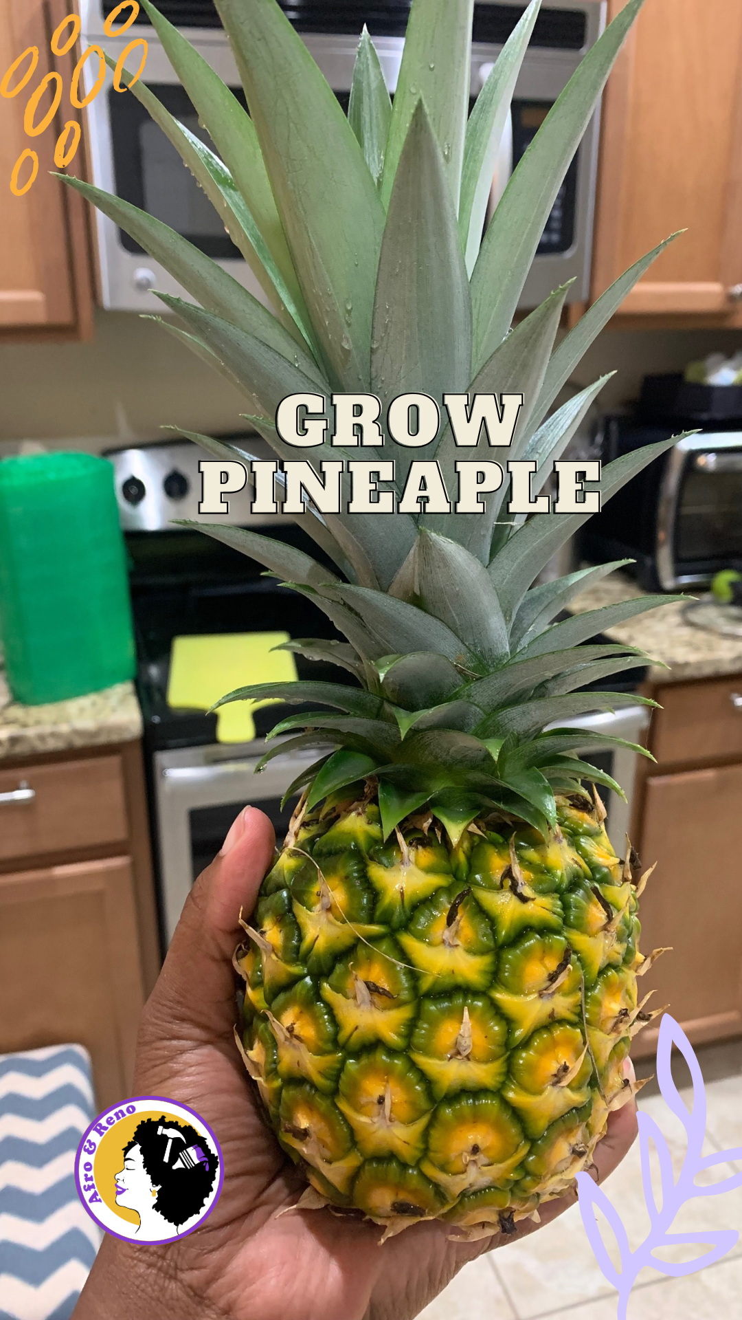 Image of growing a pineapple at home. Tamarah @Afro and reno is holding a mostly yellow pineapple she grew herself